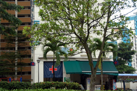 Blk 609 Bukit Panjang Ring Road (Bukit Panjang), HDB 4 Rooms #217472